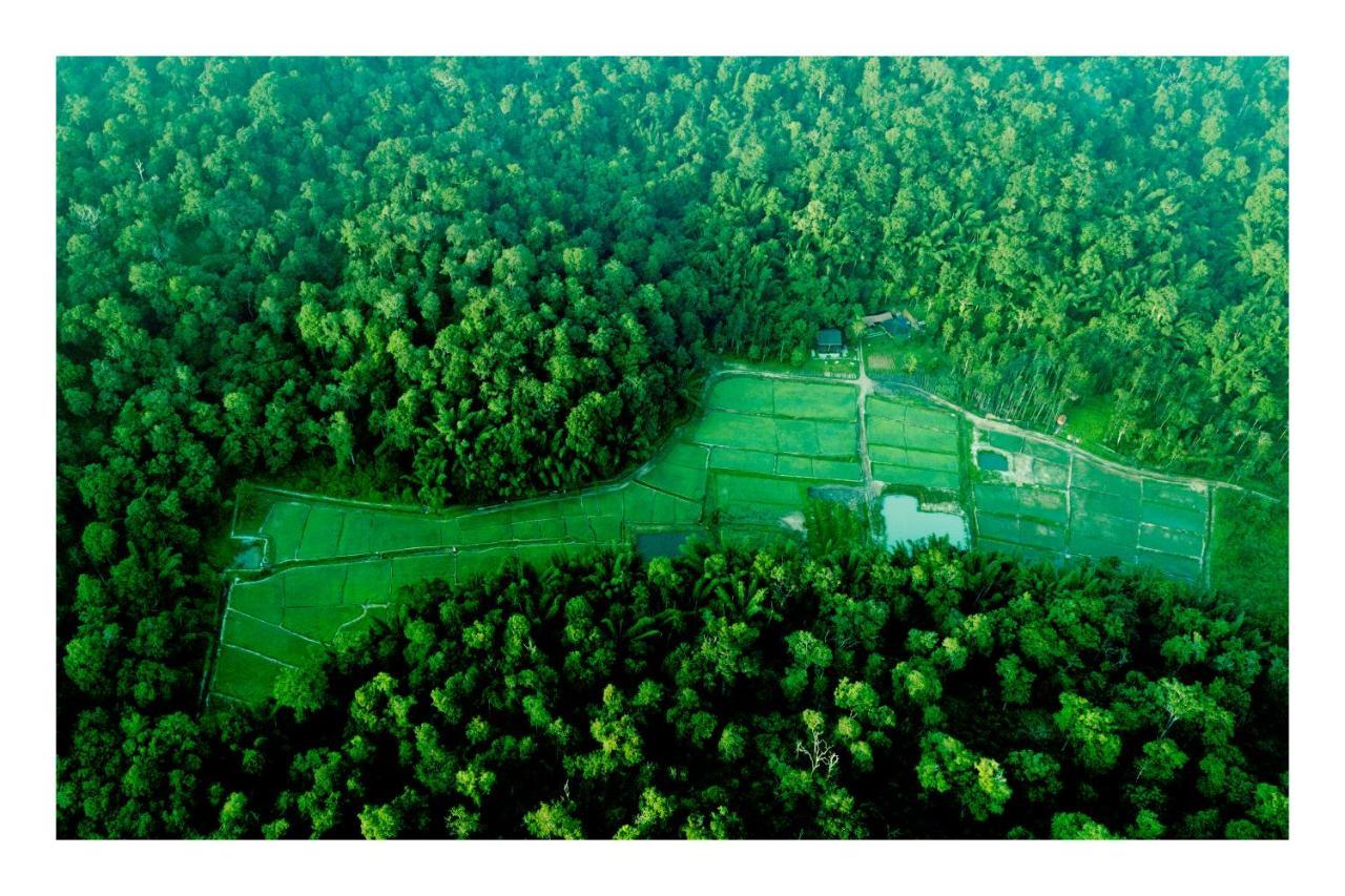 Vayal Veedu - Luxury Farm Villas By The Woods Muthanga Екстериор снимка